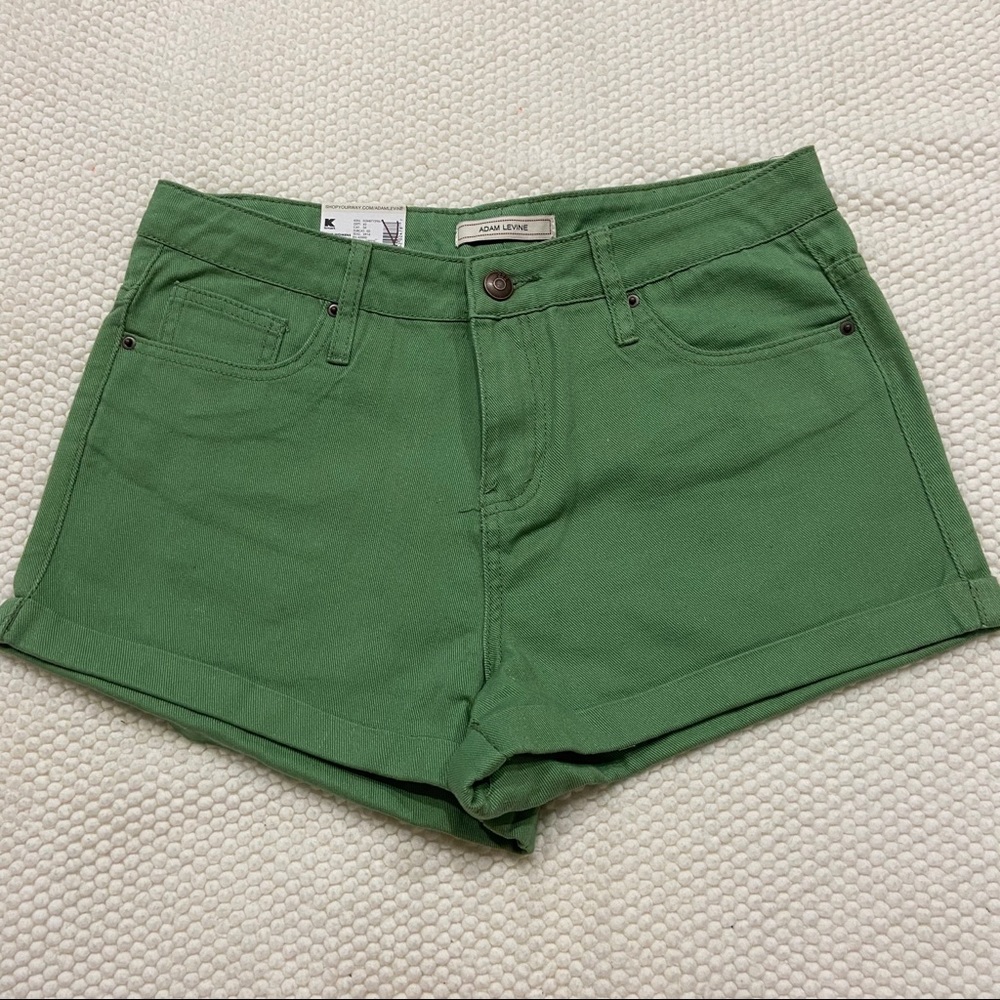 NWT Adam Levine green shorts